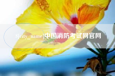昆明中国消防考试网官网