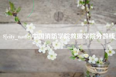 昆明中国消防学院救援学院分数线