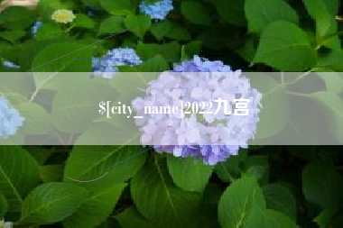 昆明2022九宫