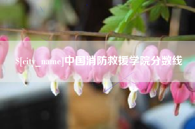 昆明中国消防救援学院分数线