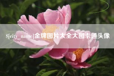 昆明金牌图片大全大图卡通头像