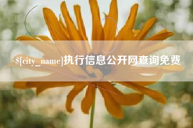 昆明执行信息公开网查询免费