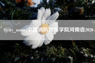 昆明中国消防救援学院河南省2020